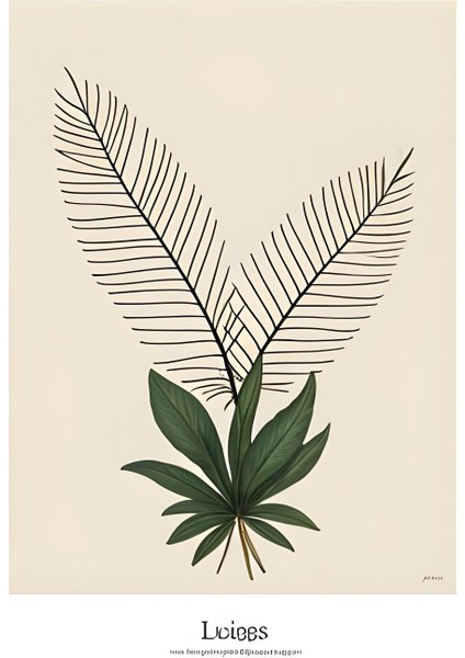 Matisse - Boho - Art Deco - Soyut - Doğa ( 3 Lü Çerçevesiz ) Poster - Afiş - Tablo KR2C00281/