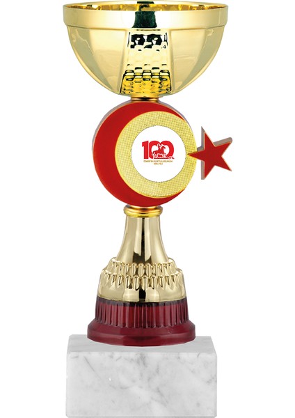 Kişiye Özel Futbol Kupası Ödül Kupası Tören Kupası 20 cm ECO-046