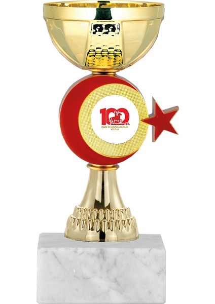 Kişiye Özel Futbol Kupası Ödül Kupası Tören Kupası 17 cm ECO-046