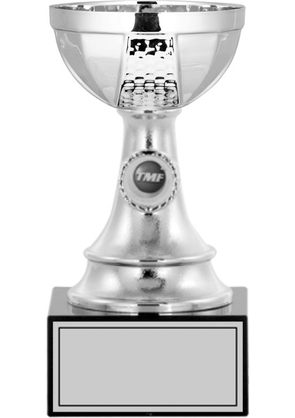 Kişiye Özel Futbol Kupası Ödül Kupası Tören Kupası 20 cm S003