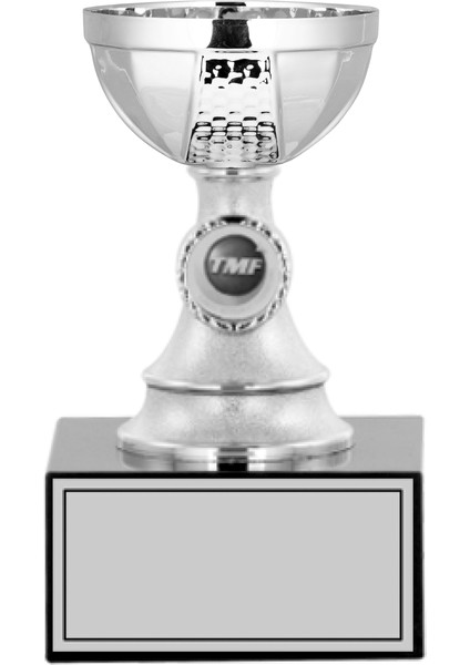 Kişiye Özel Futbol Kupası Ödül Kupası Tören Kupası 17 cm S003