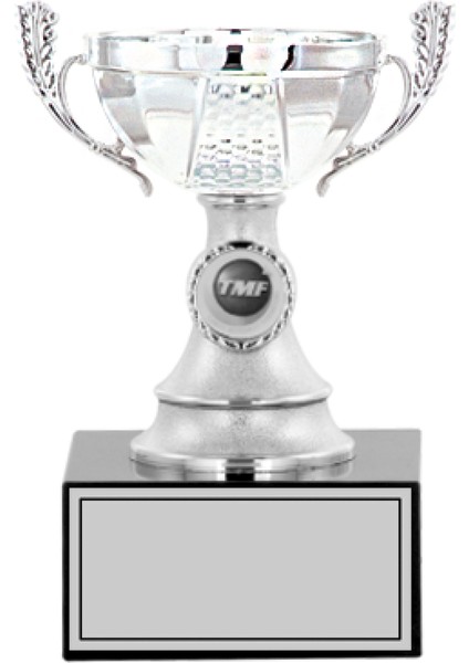 Kişiye Özel Futbol Kupası Ödül Kupası Tören Kupası 19 cm Small 004