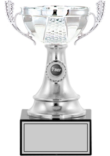 Kişiye Özel Futbol Kupası Ödül Kupası Tören Kupası 22 cm Small 004