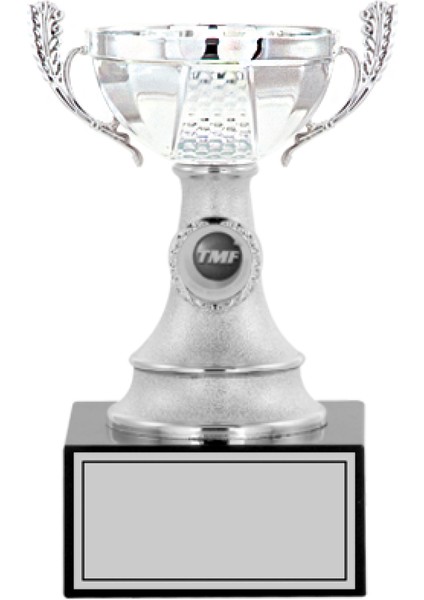 Kişiye Özel Futbol Kupası Ödül Kupası Tören Kupası 20 cm Small 004