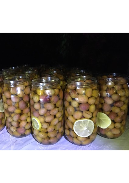 Milas Memecik Yağlı Çizik Zeytin fiyatları