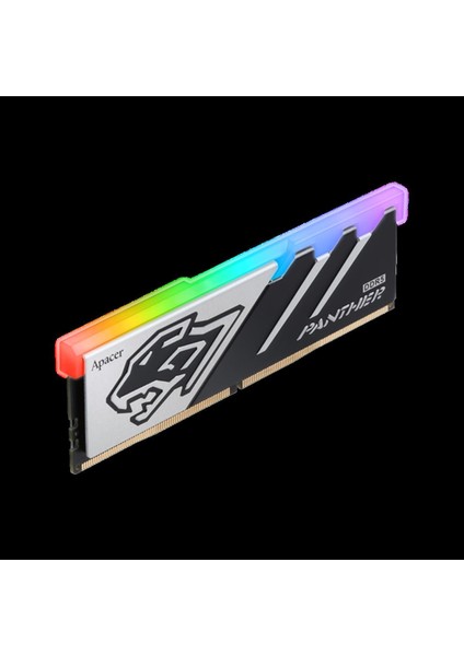 Panther RGB 16GB 1x16GB 5600MHz CL40 DDR5 Gaming Ram (AH5U16G56C5229BAA-1)