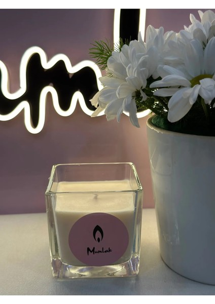 100% Soya Wax Mum "dior Fahrenheit" Elit Mum | Fransa