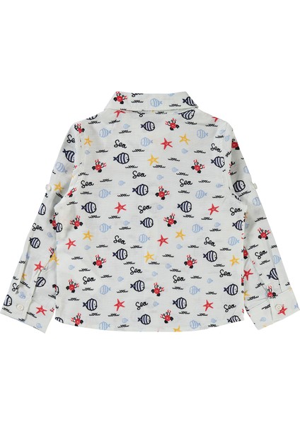 Erkek Çocuk Gömlek 2-5 Yaş Mint fiyatları