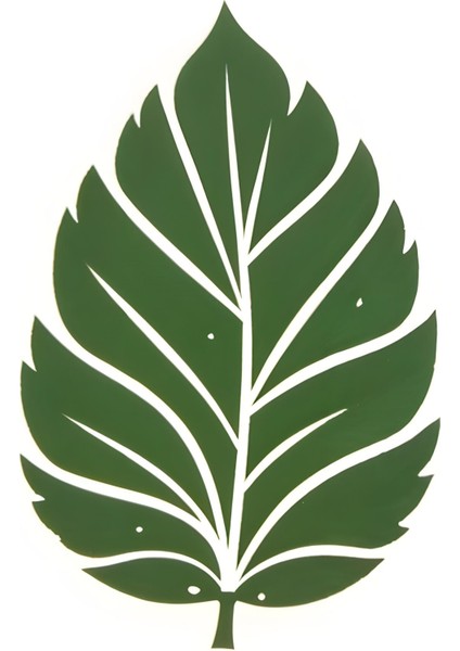 Matisse - Boho - Art Deco - Soyut - Doğa ( 3 Lü Çerçevesiz ) Poster - Afiş - Tablo KR2C00133/ modelleri