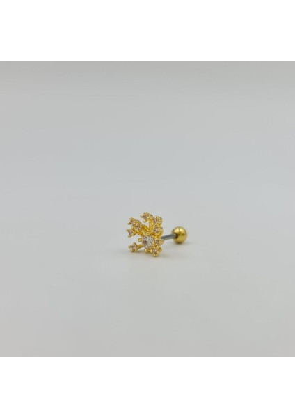 Şık Taşlı Çelik Küpe Tragus Helix Kıkırdak Piercing modelleri