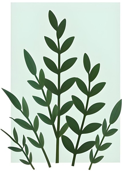 Matisse - Boho - Art Deco - Soyut - Doğa ( 3 Lü Çerçevesiz ) Poster - Afiş - Tablo KR2C00097/ fiyatları