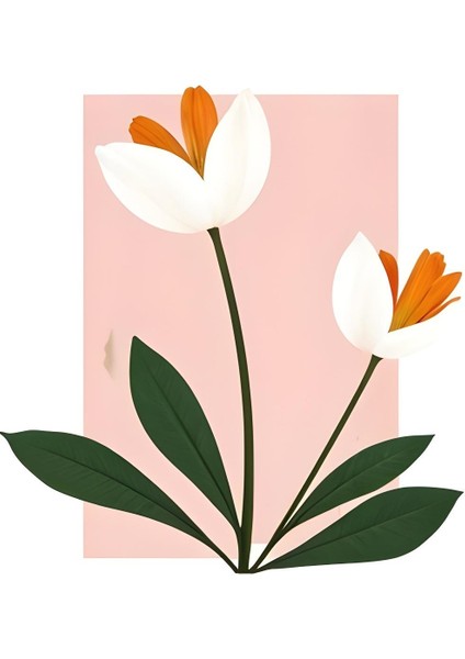 Matisse - Boho - Art Deco - Soyut - Doğa ( 3 Lü Çerçevesiz ) Poster - Afiş - Tablo KR2C00097/ modelleri