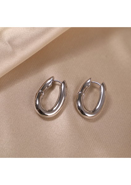 Çelik Kadın Küpe, Kıvrımlı Oval, Gümüş Renk, No:207 modelleri