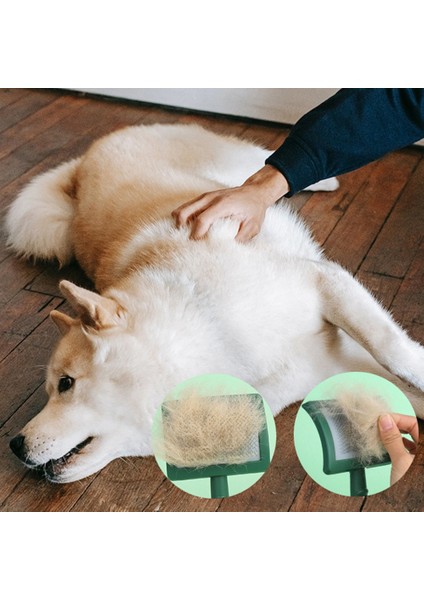 Evcil Hayvan Köpek Ekstra Uzun Pin Slicker Fırçasıkeçeleşmiş Tüy Bakım Tel Fırçası Masaj Bakım Fırçası Aracı (Yurt Dışından) modelleri