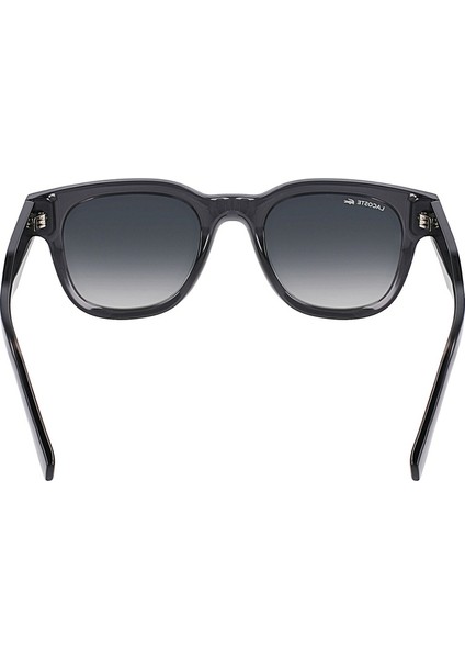 6023S 035 49 Unisex Güneş Gözlüğü modelleri