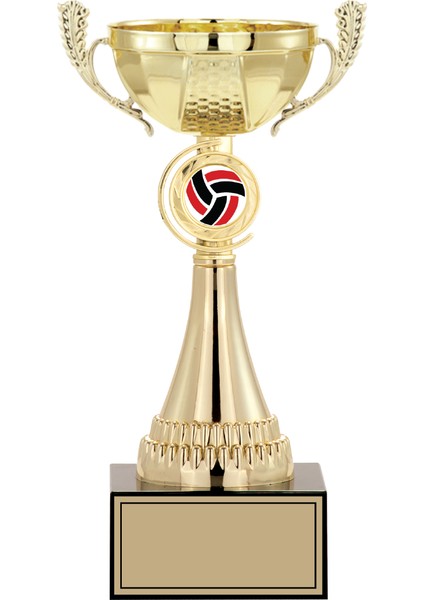 Kişiye Özel Futbol Kupası Ödül Kupası Tören Kupası 27 cm Small 006