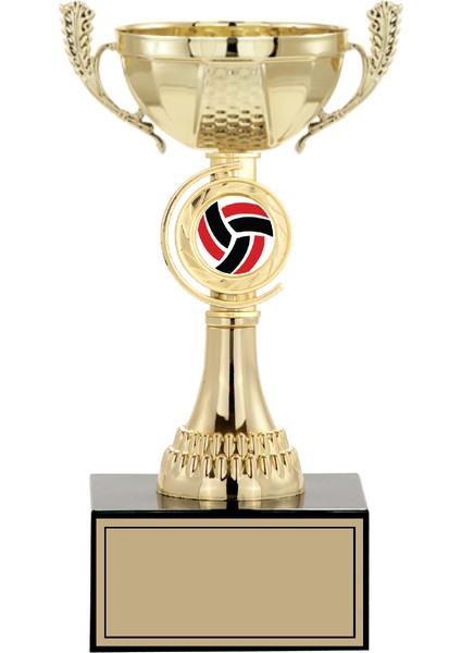 Kişiye Özel Futbol Kupası Ödül Kupası Tören Kupası 22 cm Small 006