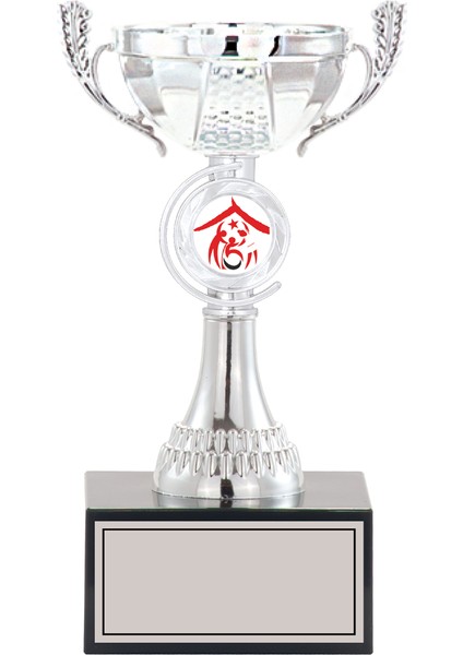Kişiye Özel Futbol Kupası Ödül Kupası Tören Kupası 22 cm Small 008