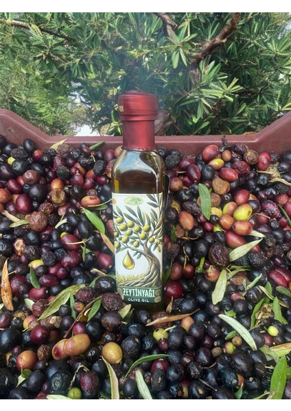 Limonlu Naturel Sızma Soğuk Sıkım Zeytinyağı 0.6 Oleik Asit