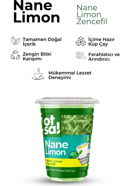 Nane Ferahlığı ve Limon Tazeliğiyle Doğal Şifa Çayı – 170 G