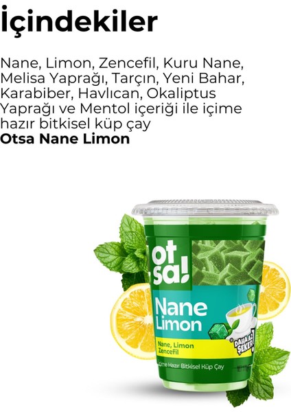 Nane Ferahlığı ve Limon Tazeliğiyle Doğal Şifa Çayı – 170 G