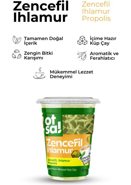 Zencefil ve Ihlamur Harmanlı Bitkisel Destek Çayı – 170 G