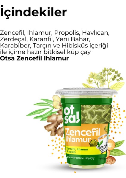 Zencefil ve Ihlamur Harmanlı Bitkisel Destek Çayı – 170 G