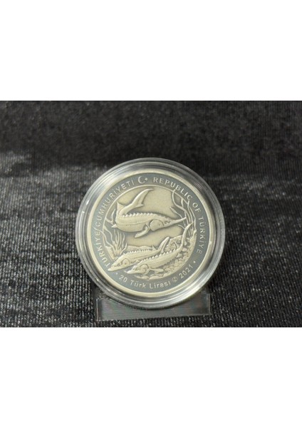 2021 Darphane Türkiyeye Özgü Balıklar Serisi: Mersin Balığı Gümüş Hatıra Parası modelleri