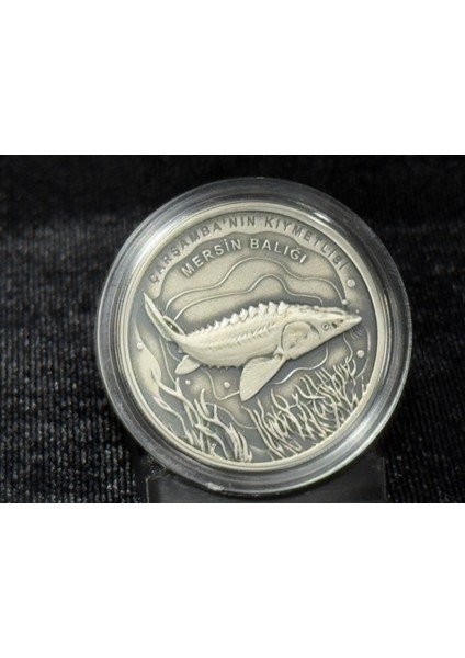 2021 Darphane Türkiyeye Özgü Balıklar Serisi: Mersin Balığı Gümüş Hatıra Parası fırsatları