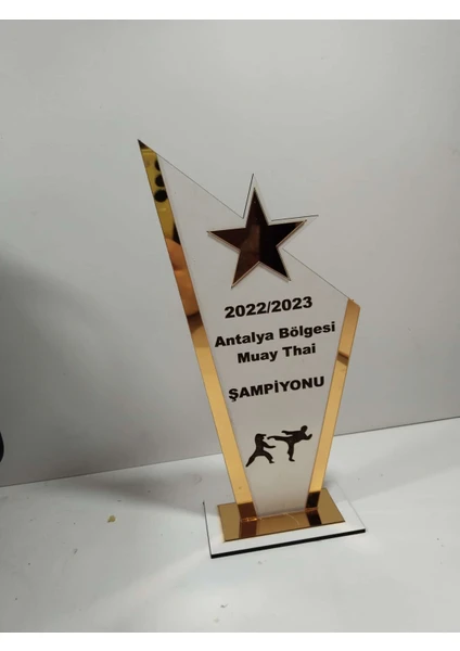 Hediyelik Plaket Karete/boks/judo/muay Thai Turnuvalarına Özel(Kişiye Özel Isim Yazılı)