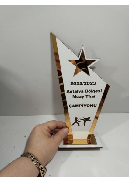 Hediyelik Plaket Karete/boks/judo/muay Thai Turnuvalarına Özel(Kişiye Özel Isim Yazılı)