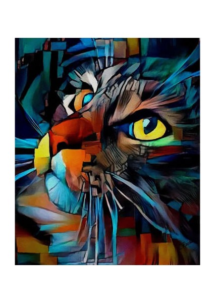 Kedinin Bakışı 2 Sayılarla Boyama Seti Kasnaklı