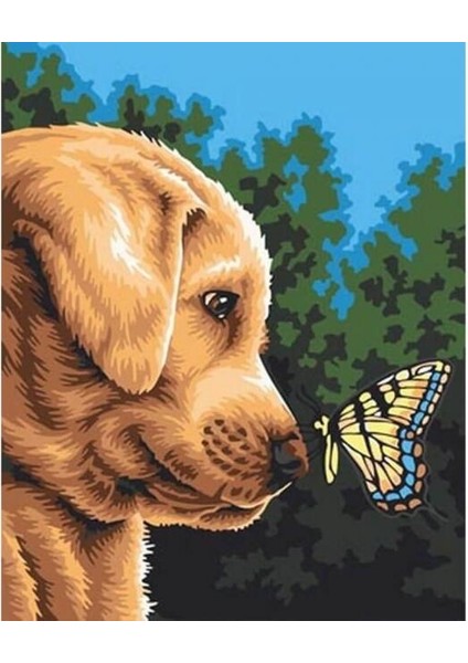 Kelebek ile Dost Sayılarla Boyama Seti Kasnaklı