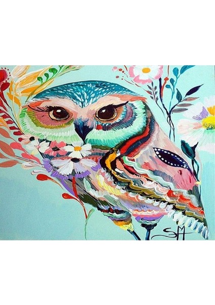 Desenli Baykuş Sayılarla Boyama Seti Kasnaklı