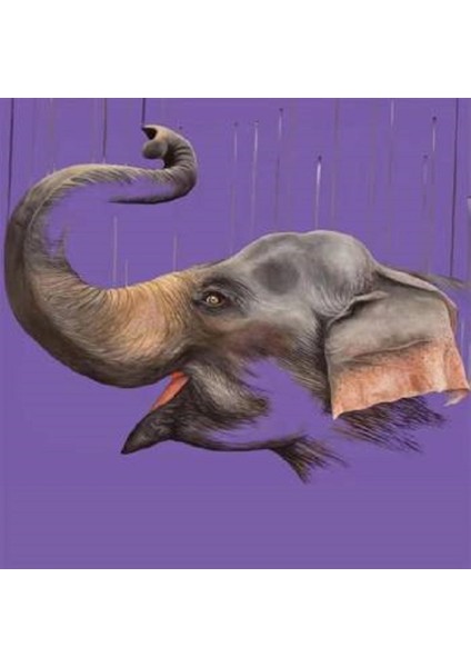 Sevimi Fil Sayılarla Boyama Seti Kasnaklı