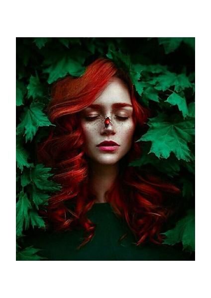 Yaprak Güzeli Sayılarla Boyama Seti Kasnaklı