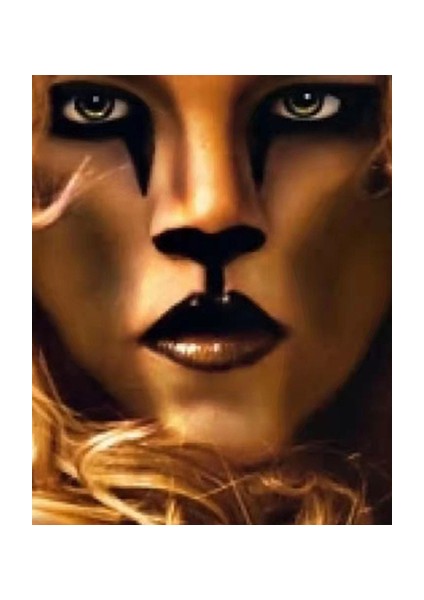 Yüz Hatları Sayılarla Boyama Seti Kasnaklı