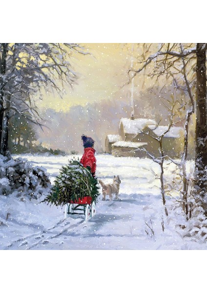 Kış Manzarası Sayılarla Boyama Seti Kasnaklı