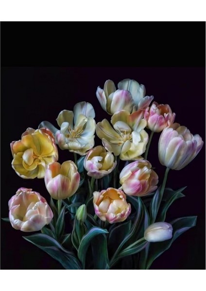 Yaşam Çiçeği Sayılarla Boyama Seti Kasnaklı