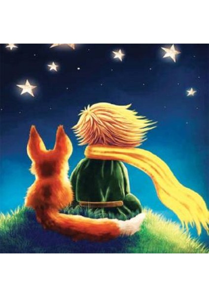 Küçük Prens 2 Sayılarla Boyama Seti Kasnaklı