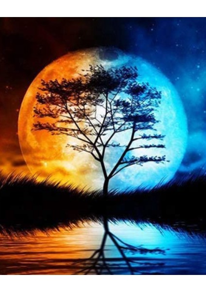 Dolunay Ağacı Sayılarla Boyama Setikasnaklı