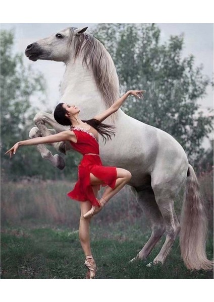 Asil At ve Asil Güzel Sayılarla Boyama Seti Kasnaklı