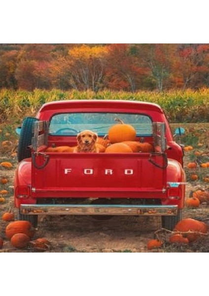 Balkabakları ve Köpek Sayılarla Boyama Seti Kasnaklı