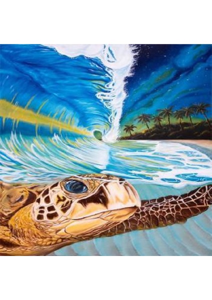 Karetta Karetta Sayılarla Boyama Seti Kasnaklı