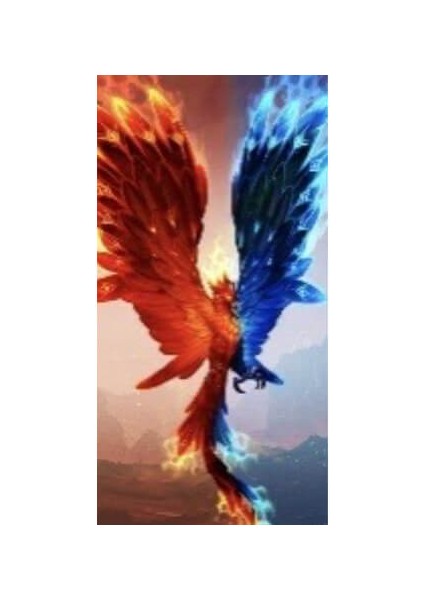 Ateş ve Su Anka Kuşu Sayılarla Boyama Seti Kasnaklı