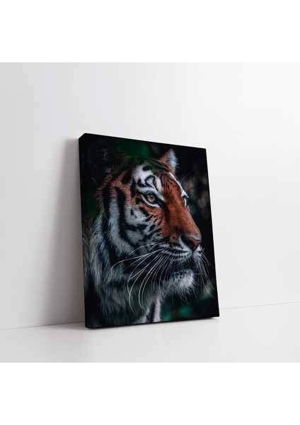 Vahşi Kaplan Kanvas Tablo fiyatları