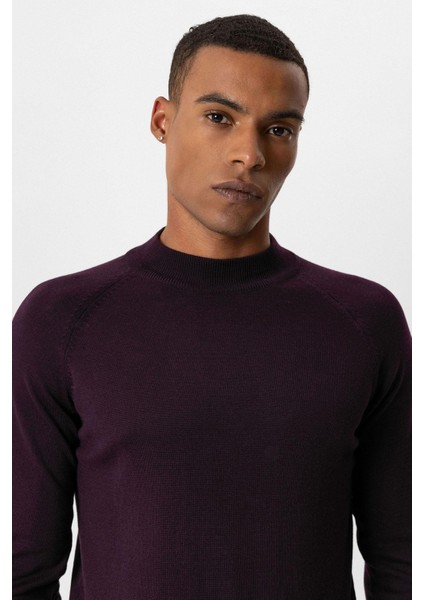 Koyu Mürdüm Yarım Boğazlı Erkek Triko fırsatları