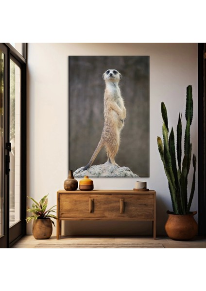 Sarı Tüylü Mirket Kanvas Tablo