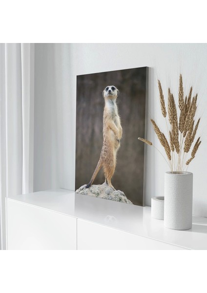 Sarı Tüylü Mirket Kanvas Tablo modelleri