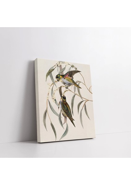 Daldaki Kuşlar Kanvas Tablo fiyatları